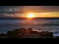 Peaceful Music, Relaxing Music, Instrumental Music, "Soaring Beauty" by Tim Janis