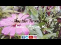 Download Lagu Mantan Tersayang (Backsound Romantic / No CopyRight) | Eko Agus K | Puitis |