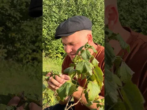 Батя и сын! Спустя 30 лет, 2 серия.