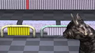 Quantum Mechanics Animation explaining quantum physics