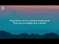 Avicii - Wake Me Up (Lyrics)