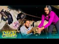 Download Lagu //ትንሽ እረፍት// “ጥበብ የተፈተነችበት ኩበት መስራት 🤣….አንቺማ ፈረንጅ ነሽ” //አድዋን በኢቢኤስ//