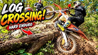 We Were NOT Ready for This Log Crossing!