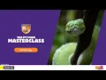 Python Masterclass Trailer