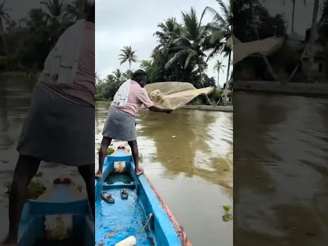വല എറിഞ്ഞ് മീൻപിടുത്തം 🐠🐟😱ARCHANA DEV #shorts #viral #trending #archanadev #art #youtubeshorts