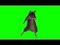Download Lagu full rat dance green screen