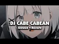 Download Lagu DJ CABE CABEAN (Slowed + Reverb)