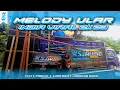 Lagu DJ PARTY CEK SOUND • MELODY ULAR INDIA VIRAL 2K23 • ⁉️