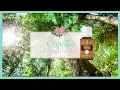Benefits Uses of Copaiba Essential Oil