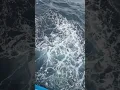 Download Lagu See yOu again Oriental Mindoro😊🥰 #nature #viralvideos #viral #boat #happiness