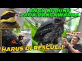 Download Lagu #06 PAOK | LANGSUNG DI RESCUE...!! ANAK PAOK PANCAWARNA UDAH SEGEDE GINI..? MP3