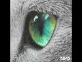 Glimpse of Us (hbrp Edit)