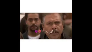 انا النمر 