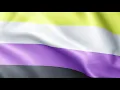 Non Binary Pride Flag Animation LHBTIQ Flags of the World