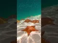 Venezuela beach