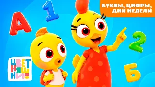 Развивающие песенки для малышей 🌟 Учим буквы, цифры, цвета и дни недели | Цветняшки