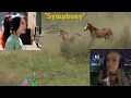 Download Lagu Symphony\