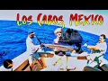 Los Cabos 2025 - Offshore fishing Sailfish Marlins