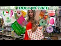 DOLLAR TREE DUPES YOU WON T BELIEVE FOR ONLY 1 25 YES We bought it ALL