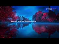 Saujana -  Usia Antara Masa (Lirik)