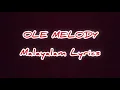 Ole melody malayalam lyrics✨️/ thallumala/Tovino thomas, khalid rahman, ashiq usman,vishnu vijay....