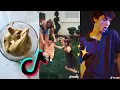 quarantine tiktok videos that make you feel nostalgic 🐅☕