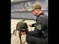 Retirement Ceremony for Berkeley County Sheriff s Department Deputy K-9 Braum