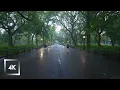 Download Lagu Walking in the Rain, Central Park New York, Binaural Rain Umbrella and Nature Sounds for Sleep