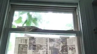 Thank You Neighborhood watch Code Adam