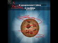 How to get Developer Tools in Cookie Clicker