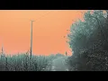 ALWAYS trailer BFI London Film Festival 2025 - 8-19 October