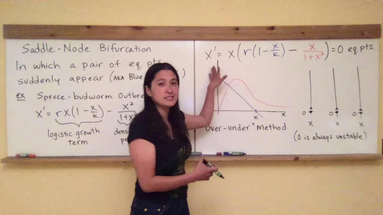 Ecology Dynamics Section 3.6: Saddle Node Bifurcations and Spruce Budworm Outbreak