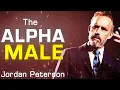 HOW TO BE AN ALPHA MALE | Jordan Peterson  | LIFE ADVICE