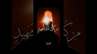 فكيف إذا جئنا من كل أمة بشهيد محمد عمران 