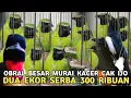 Download Lagu EDAN SAMPE BERSERAKAN JUAL OBRAL JANTAN !! CAK IJO KACER 300 RIBU DUA EKOR DI PB PRAMUKA