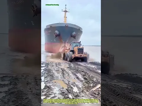 The Ship Stop: Ein Radlader drückt gegen den Bug eines auf Grund gelaufenen Frachters