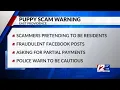 Police warn of puppy scam on Facebook Marketplace