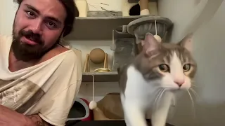You might think your cat is fine sleeping 18 hours a day. But here's the truth