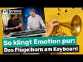 Download Lagu 🎺 So klingt Emotion pur: Das Flügelhorn am Keyboard