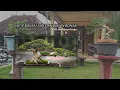 Intip Bonsai Jadi Dan Bahan Bonsai Milik Mas Rahmadi