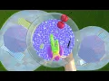 Cacien – sigh (official visualizer)