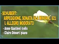 Download Lagu Anne Gastinel - Schubert: Arpeggione, Sonata in A Minor D. 821 I. Allegro Moderato (2005)