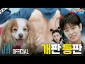 Download Lagu 스키즈 비행記 (SKZ Travel Log) #3｜[SKZ CODE] Ep.65