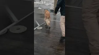 The East Coast of the U.S. in winter is no joke😩Subscribe and see you Sunday! #sailing #boatlife