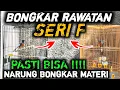 Download Lagu KALIAN PASTI BISA !! RAHASIA RAWATAN MURAI BATU SERI F AGAR MURAI BATU GACOR BONGKAR MATERI