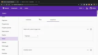 Reference the Angular Material Select s Option panel