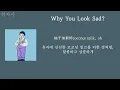 Diverseddie - Why You Look Sad? [ 가사 / 자막 / 해석 / 요청곡 ]