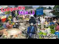 Download Lagu ĐẶC SẢN: cá đồng chất đóng tại chợ ven sông biên giới Campuchia giá siêu rẻ