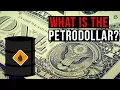 What is the Petrodollar