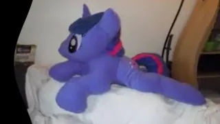 Regarding Twilight Sparkle Copypasta